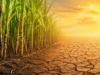Asocaña indica como evitar una crisis por agua