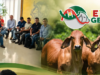 Expo Genéticas Razas Puras en Yopal (Casanare)