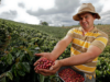 El café de Colombia llega a más de 108 paises