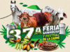 Tame (Arauca). Feria ganadera y festival de la carne