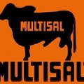 Sal Mineralizada Multisal Equinos 8% Bulto por 40 Kls