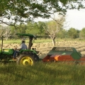  PACAS DE HENO DE ANGLETON Y PANGOLA