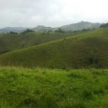 se vende finca productiva en Yolombó antioquia 