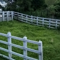 CORRAL PARA MANEJO DE GANADO