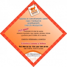 ADIESTRAMIENTO, PASEO Y RECREACIÓN PARA PERROS. PET-SHOP
