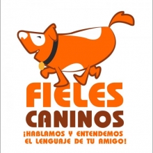 ADIESTRAMIENTO, PASEO Y RECREACIÓN PARA PERROS. PET-SHOP