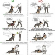 ADIESTRAMIENTO, PASEO Y RECREACIÓN PARA PERROS. PET-SHOP