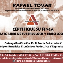 CERTIFIQUE SU FINCA COMO HATO  LIBRE DE BRUCELOSIS Y TUBERCULOSIS