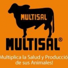 Sal Mineralizada Multisal Sabanera Bulto por 40 Kls