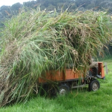 Carro Rural Colombiano..!