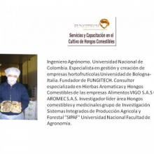 Bloques Incubados de Orellana listos para fructificar