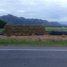 Heno de Angleton y climacuna, producido bajo los mas altos estándares de calidad. 