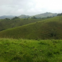 se vende finca productiva en Yolombó antioquia 