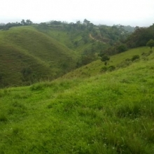 se vende finca productiva en Yolombó antioquia 