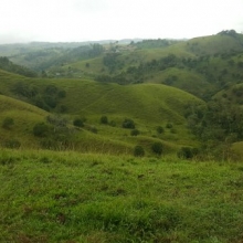 se vende finca productiva en Yolombó antioquia 