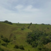 se vende finca productiva en Yolombó antioquia 