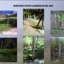 POSTE PLÁSTICO PARA CERCA