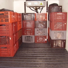 Estibas para transporte de alimentos