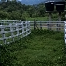 Corrales, bretes, enbarcaderos