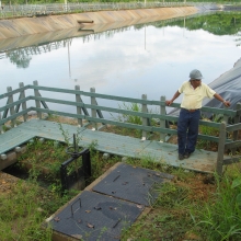 ESTRUCTURAS FLOTANTES PARA ZONAS HÚMEDAS, FANGOS Y PANTANOS