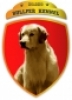 Imagen de BULLFER KENNEL CRIADERO Imagen de BULLFER KENNEL CRIADERO